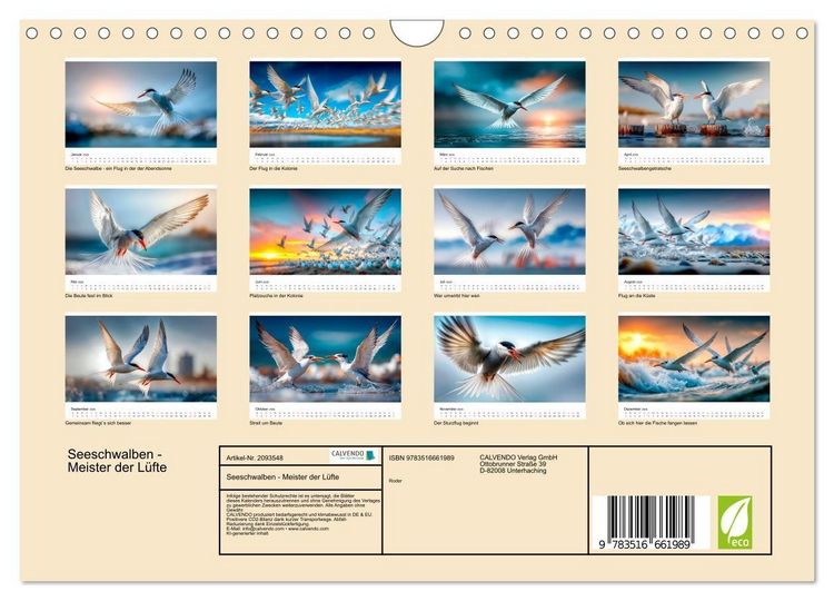 Produktbild: Seeschwalben - Meister der L&uuml;fte (Wandkalender 2026 DIN A4 quer), CALVENDO Monatskalender