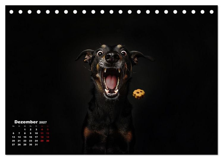 Produktbild: Leckerchen! (Tischkalender 2027 DIN A5 quer), CALVENDO Monatskalender