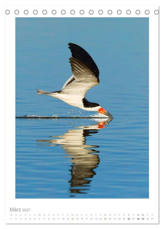 Produktbild: Pantanal &ndash; Einzigartiges Wildlife-Paradies (Tischkalender 2027 DIN A5 hoch), CALVENDO Monatskalender