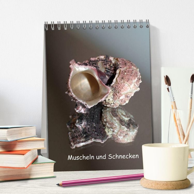 Produktbild: Muscheln und Schnecken (Tischkalender 2026 DIN A5 hoch), CALVENDO Monatskalender