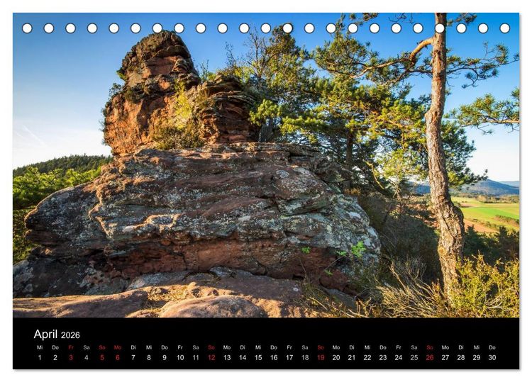 Produktbild: Mystischer Pf&auml;lzer Wald (Tischkalender 2026 DIN A5 quer), CALVENDO Monatskalender