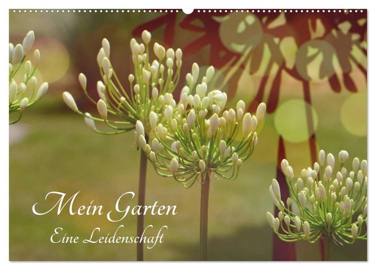 Produktbild: Mein Garten Eine Leidenschaft (Wandkalender 2026 DIN A2 quer), CALVENDO Monatskalender