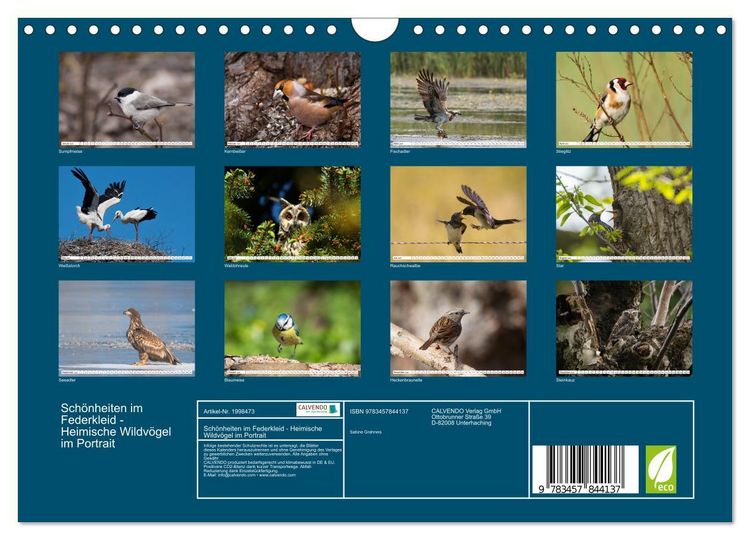 Produktbild: Sch&ouml;nheiten im Federkleid - Heimische Wildv&ouml;gel im Portrait (Wandkalender 2026 DIN A4 quer), CALVENDO Monatskalender