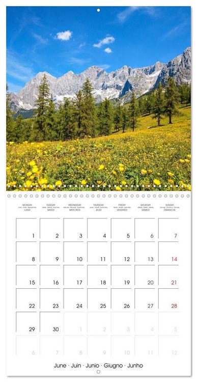 Produktbild: Kramer, C: Roof of the Alps (Wall Calendar 2026 12 &times; 12 Inch