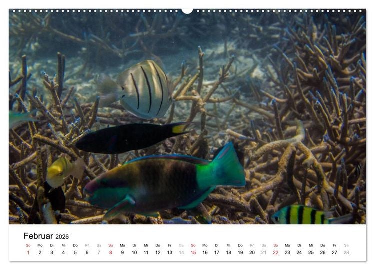 Produktbild: Unterwasserwelt der Malediven II (hochwertiger Premium Wandkalender 2026 DIN A2 quer), Kunstdruck in Hochglanz