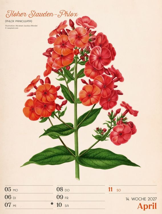 Produktbild: Ars Floralis Wochenplaner Kalender 2027