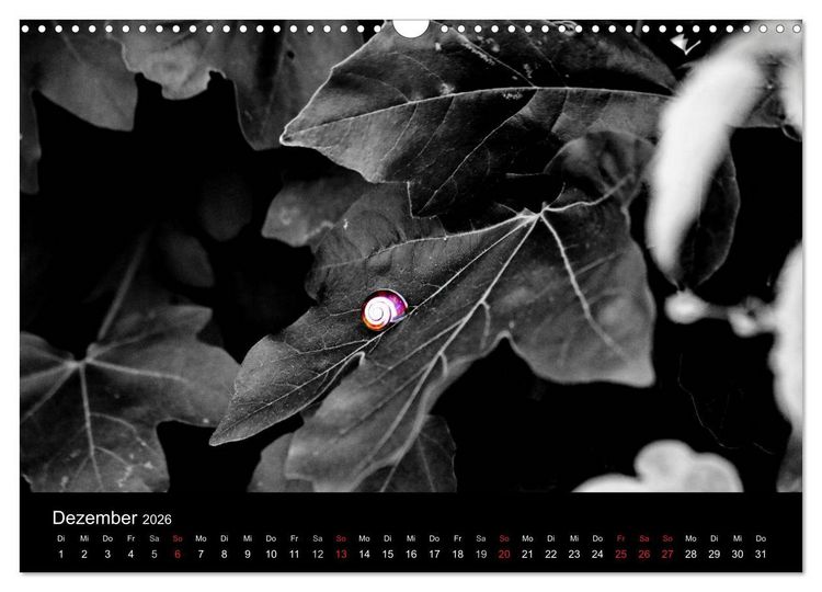 Produktbild: Farbtupfer (Wandkalender 2026 DIN A3 quer), CALVENDO Monatskalender