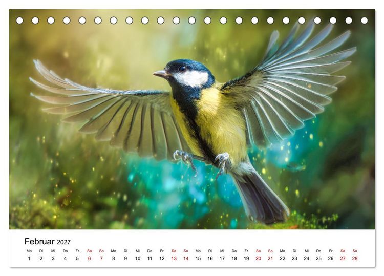 Produktbild: Federleicht - Das geheime Leben der Meisen (Tischkalender 2027 DIN A5 quer), CALVENDO Monatskalender