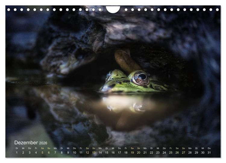 Produktbild: Fr&ouml;sche zum Verlieben (Wandkalender 2026 DIN A4 quer), CALVENDO Monatskalender
