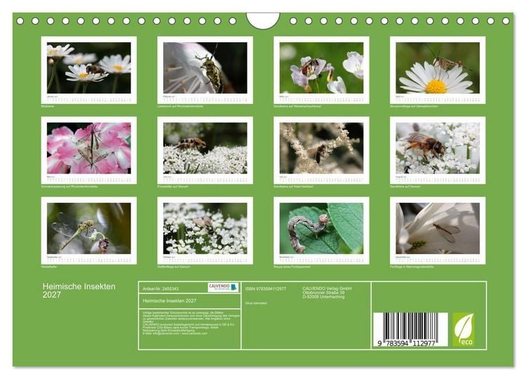 Produktbild: Heimische Insekten 2027 (Wandkalender 2027 DIN A4 quer), CALVENDO Monatskalender