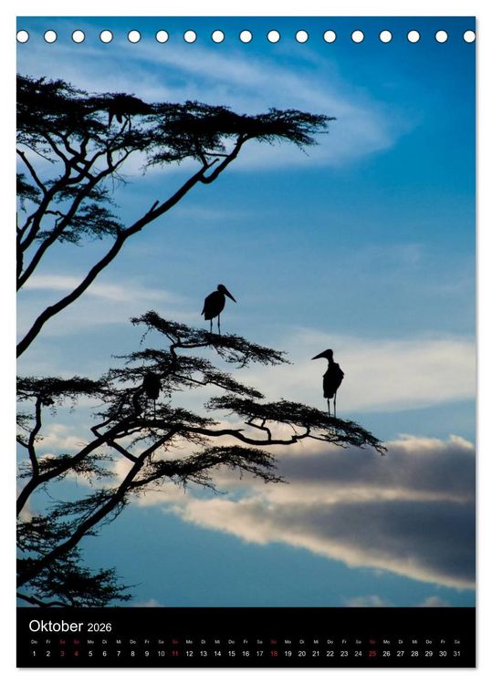 Produktbild: Wildes Afrika (Tischkalender 2026 DIN A5 hoch), CALVENDO Monatskalender