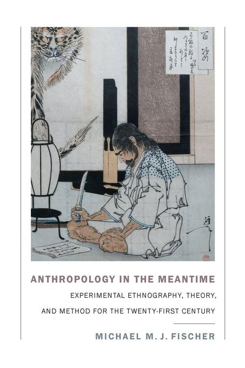 Produktbild: Anthropology in the Meantime