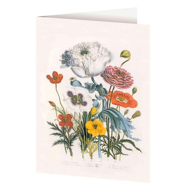 Produktbild: 4er-Set Doppelkarten &raquo;Blumengr&uuml;&szlig;e&laquo; mit Motiven von Jane C. Loudon