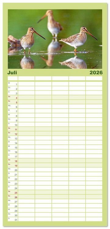 Produktbild: Familienplaner 2026 - V&ouml;gel in unserer Heimat: Kiebitz, Wiedehopf und Turteltaube mit 5 Spalten (Wandkalender, 21 x 45 cm) CALVENDO