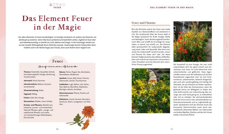 Produktbild: Magie im Hexengarten – Gärtnern mit grüner Magie