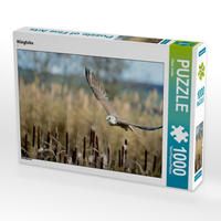 Produktbild: CALVENDO Puzzle W&uuml;rgfalke 1000 Teile Lege-Gr&ouml;&szlig;e 64 x 48 cm Foto-Puzzle Bild von Diane Jordan