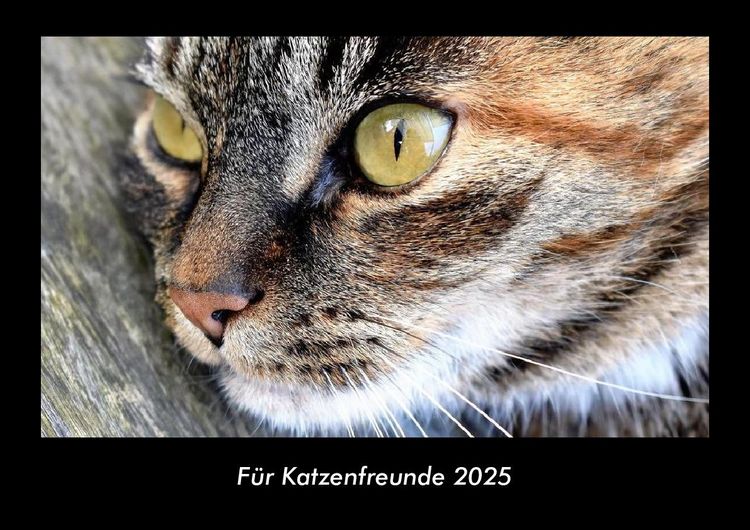 Produktbild: F&uuml;r Katzenfreunde 2025 Fotokalender DIN A3
