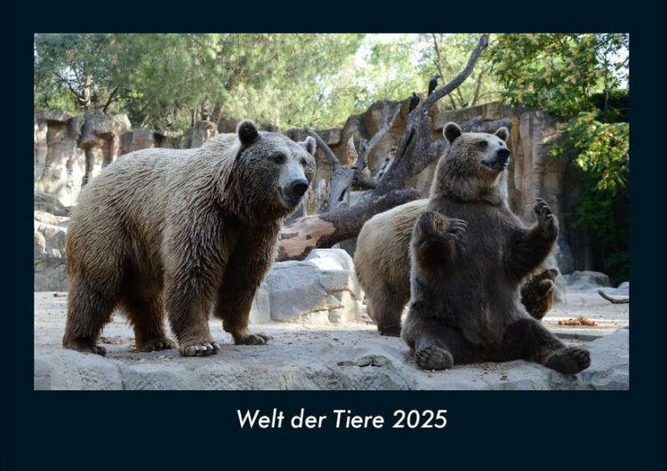 Produktbild: Welt der Tiere 2025 Fotokalender DIN A4
