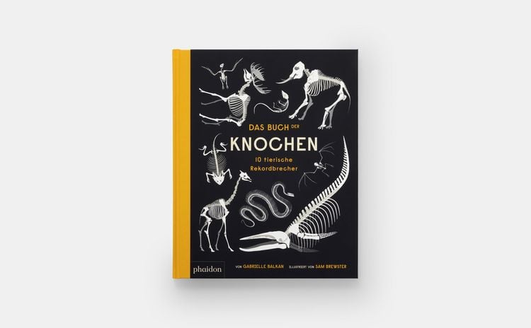 Produktbild: Das Buch der Knochen