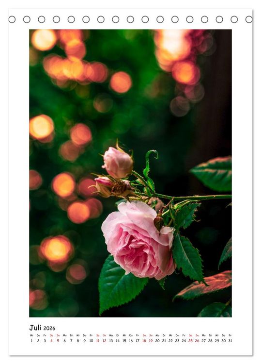 Produktbild: Bubble Bokeh (Tischkalender 2026 DIN A5 hoch), CALVENDO Monatskalender