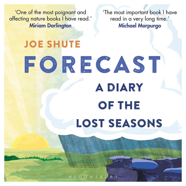 Produktbild: Forecast