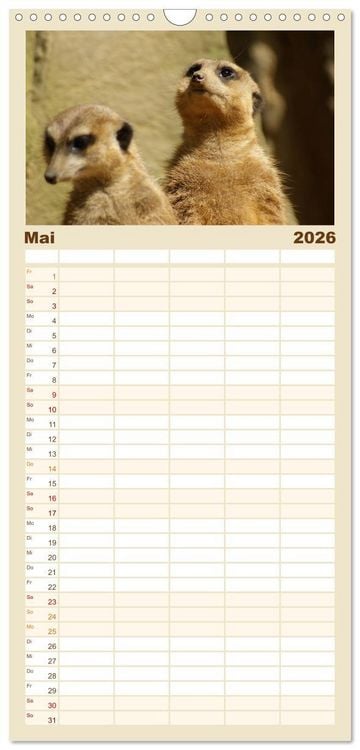 Produktbild: Familienplaner 2026 - Erdm&auml;nnchen: Zusammen sind wir stark mit 5 Spalten (Wandkalender, 21 x 45 cm) CALVENDO