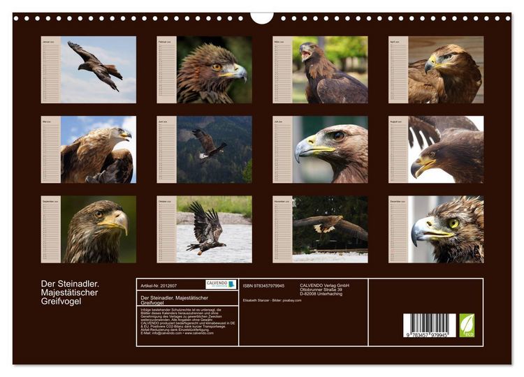 Produktbild: Der Steinadler. Majest&auml;tischer Greifvogel (Wandkalender 2026 DIN A3 quer), CALVENDO Monatskalender