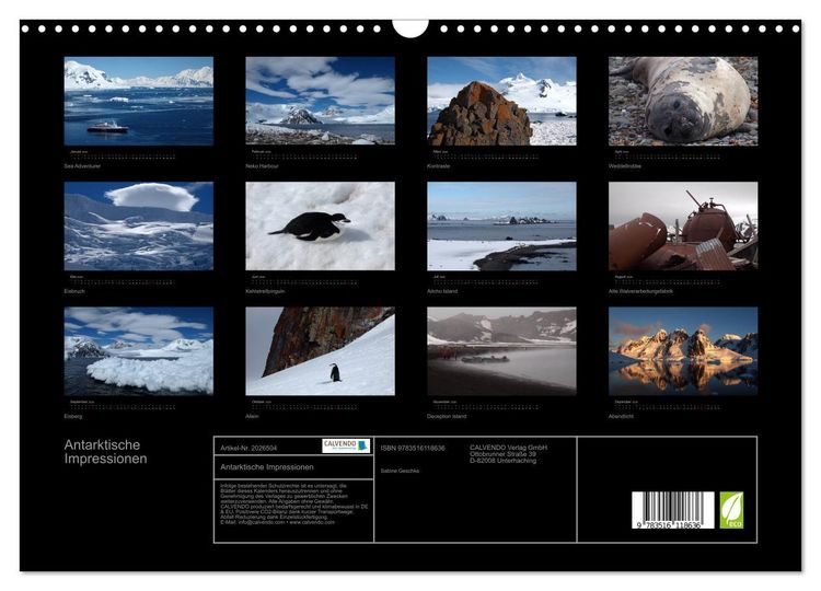 Produktbild: Antarktische Impressionen (Wandkalender 2026 DIN A3 quer), CALVENDO Monatskalender