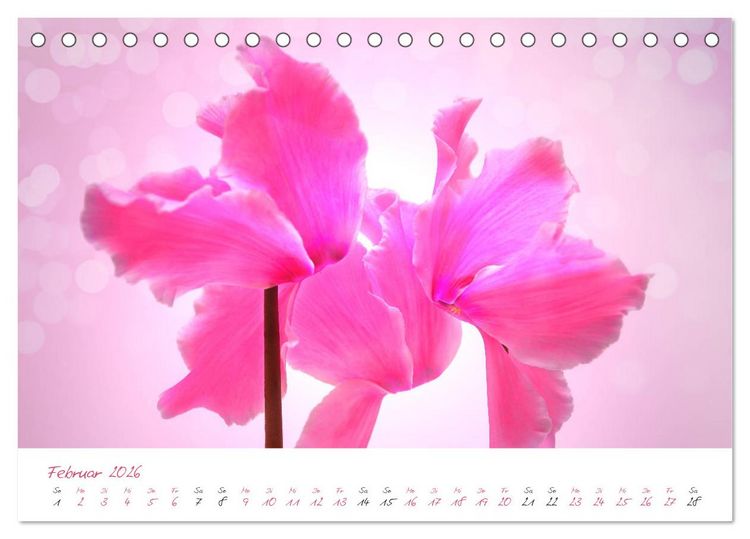 Produktbild: Bl&uuml;tentr&auml;ume in violett und pink (Tischkalender 2026 DIN A5 quer), CALVENDO Monatskalender
