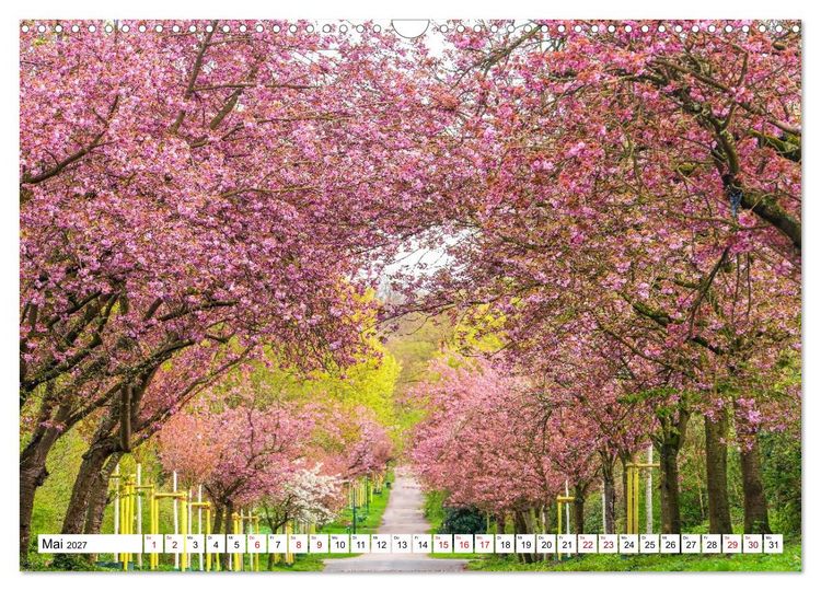 Produktbild: K&ouml;ln - Facetten einer Stadt (Wandkalender 2027 DIN A3 quer), CALVENDO Monatskalender