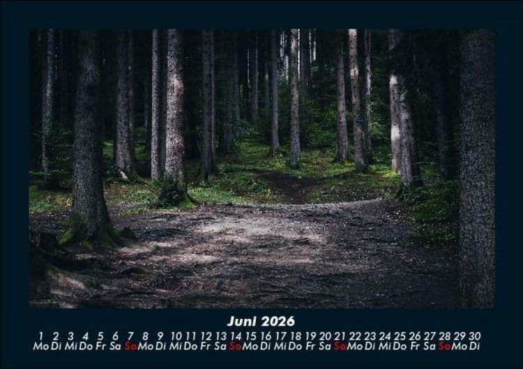 Produktbild: Waldzauber 2026 Fotokalender DIN A5