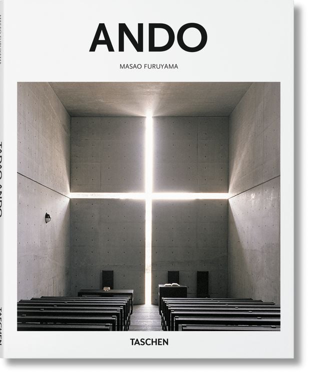 Bild vom Artikel Ando vom Autor Masao Furuyama