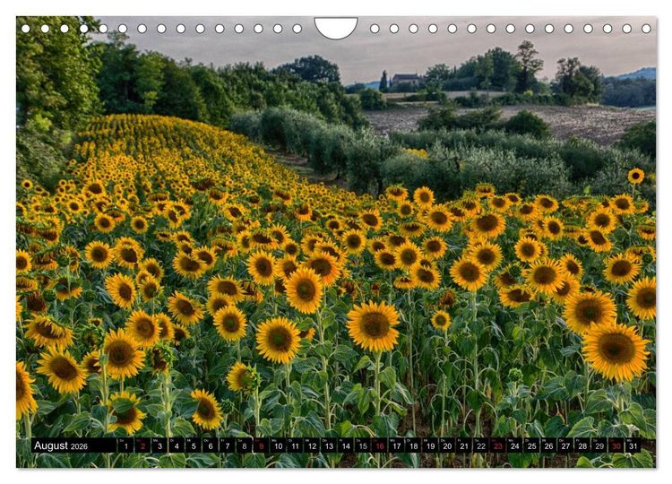 Produktbild: Abends in der Toskana (Wandkalender 2026 DIN A4 quer), CALVENDO Monatskalender