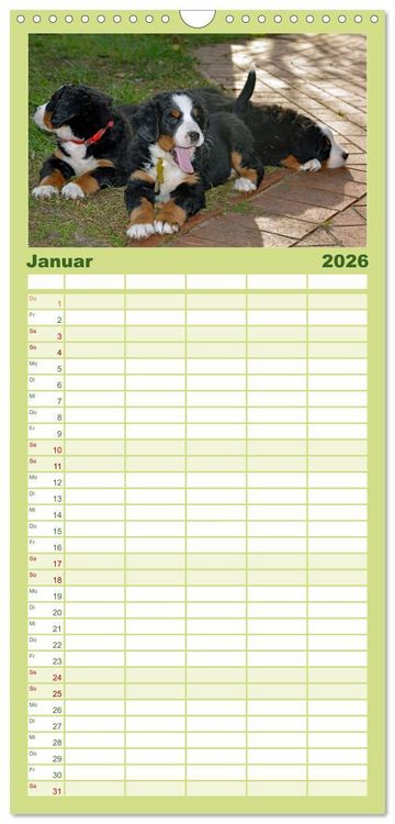 Produktbild: Familienplaner 2026 - Rasselbande mit 40 Pfoten mit 5 Spalten (Wandkalender, 21 x 45 cm) CALVENDO