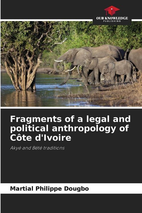 Produktbild: Fragments of a legal and political anthropology of C&ocirc;te d'Ivoire