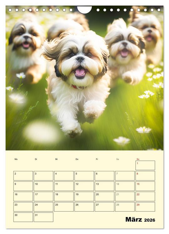 Produktbild: Shih Tzu Alarm. Gl&uuml;ckliche Wuschelk&ouml;pfe (Wandkalender 2026 DIN A4 hoch), CALVENDO Monatskalender