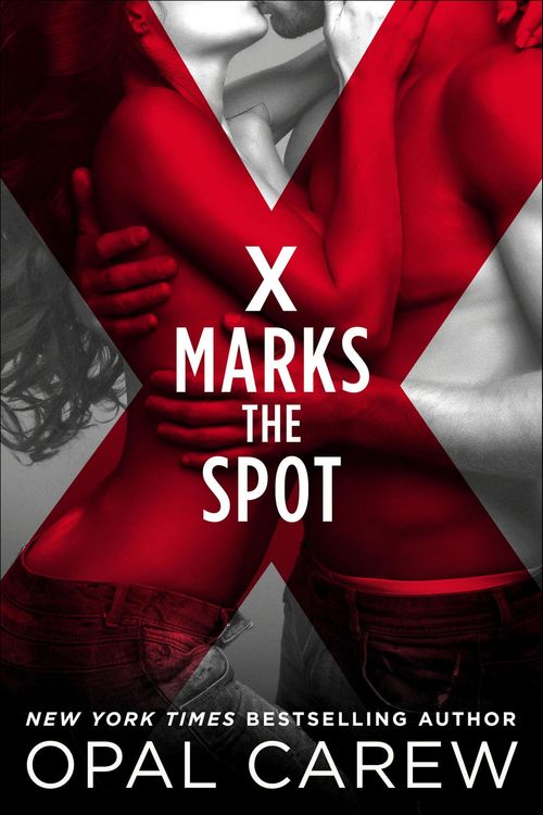 Produktbild: X Marks the Spot