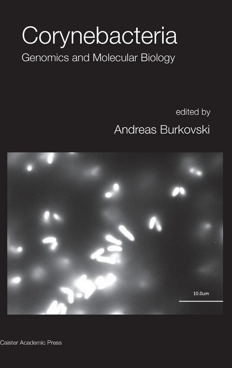Produktbild: Corynebacteria