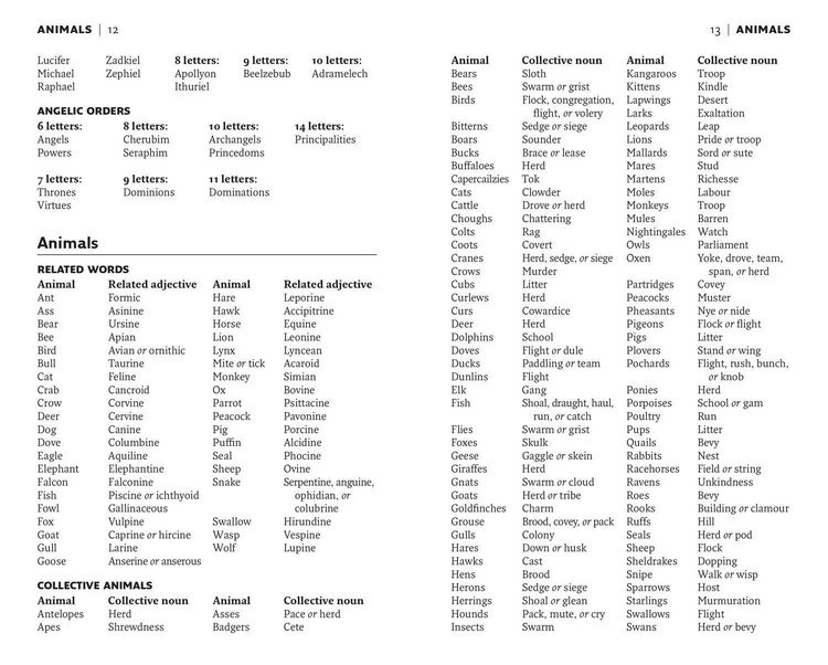 Produktbild: Bradford's Pocket Crossword Solver's Lists