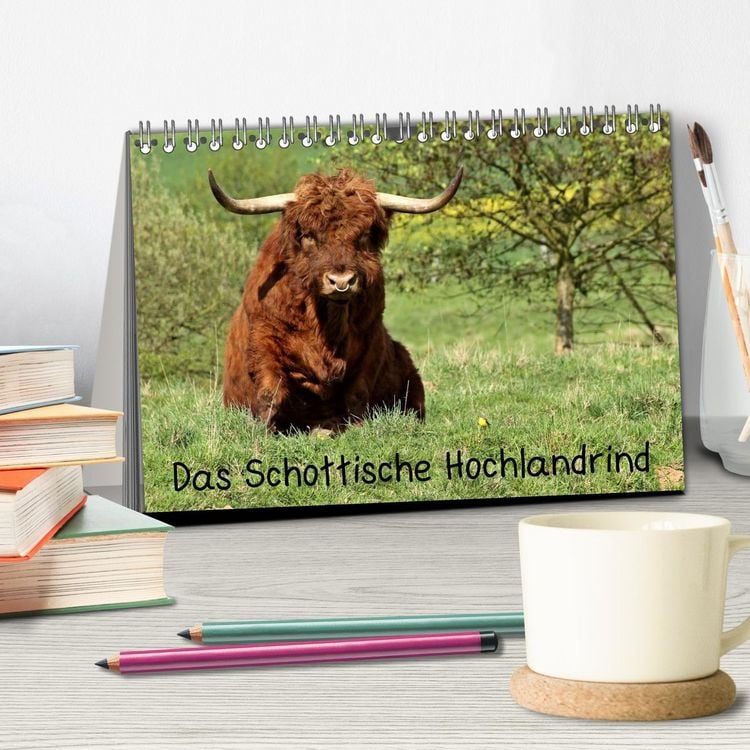 Produktbild: Das Schottische Hochlandrind (Tischkalender 2026 DIN A5 quer), CALVENDO Monatskalender