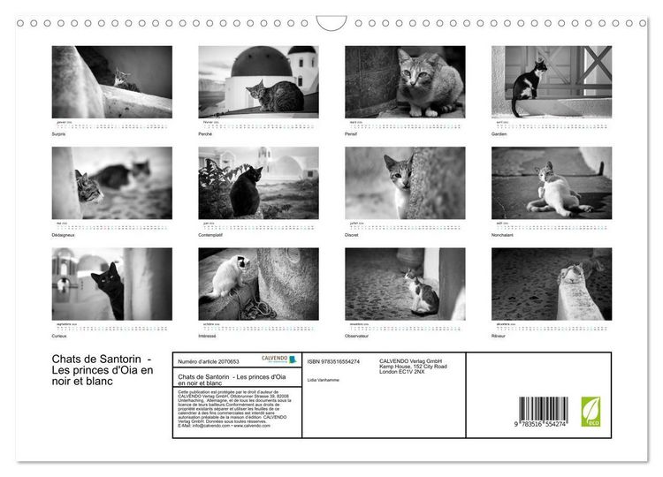 Produktbild: Chats de Santorin - Les princes d'Oia en noir et blanc (Calendrier mural 2026 DIN A3 vertical), CALVENDO calendrier mensuel