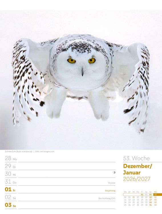 Produktbild: V&ouml;gel Wochenplaner Kalender 2027