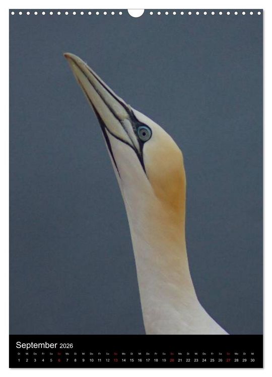 Produktbild: Helgoland in der Nordsee (Wandkalender 2026 DIN A3 hoch), CALVENDO Monatskalender