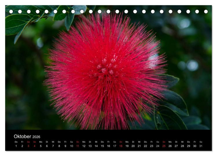Produktbild: Wildes Australien - Naturparadies 5. Kontinent (Tischkalender 2026 DIN A5 quer), CALVENDO Monatskalender