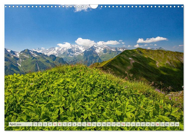 Produktbild: Sch&ouml;ne Gr&uuml;&szlig;e aus Taxenbach (Wandkalender 2026 DIN A3 quer), CALVENDO Monatskalender
