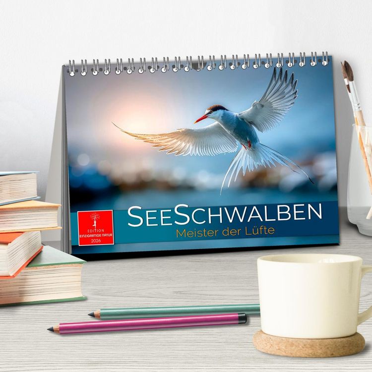 Produktbild: Seeschwalben - Meister der L&uuml;fte (Tischkalender 2026 DIN A5 quer), CALVENDO Monatskalender