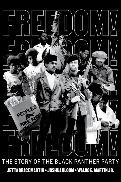 Produktbild: Freedom! the Story of the Black Panther Party