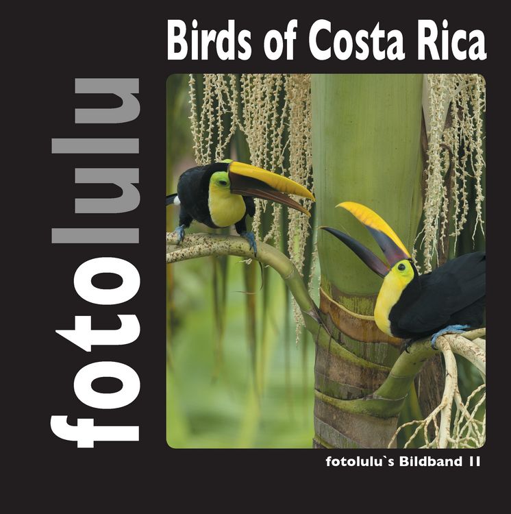 Produktbild: Birds of Costa Rica