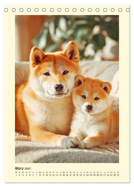 Produktbild: Shiba Inu Momente. Japans elegante Seelenhunde (Tischkalender 2027 DIN A5 hoch), CALVENDO Monatskalender