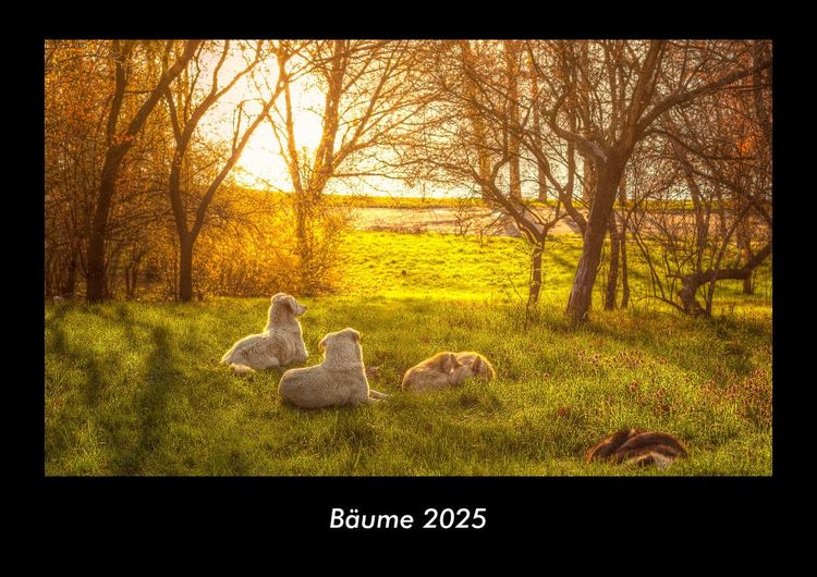 Produktbild: B&auml;ume 2025 Fotokalender DIN A3